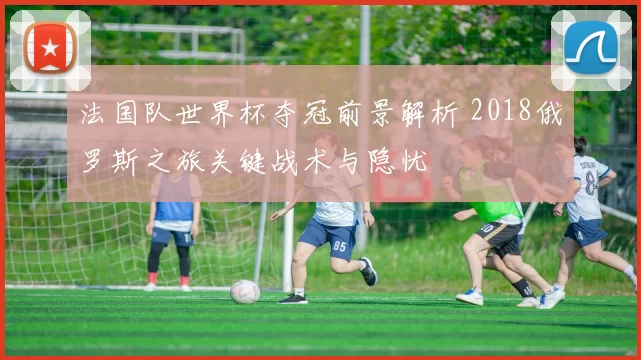 法国队世界杯夺冠前景解析 2018俄罗斯之旅关键战术与隐忧