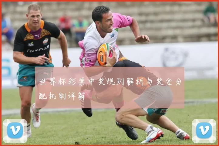 世界杯彩票中奖规则解析与奖金分配机制详解
